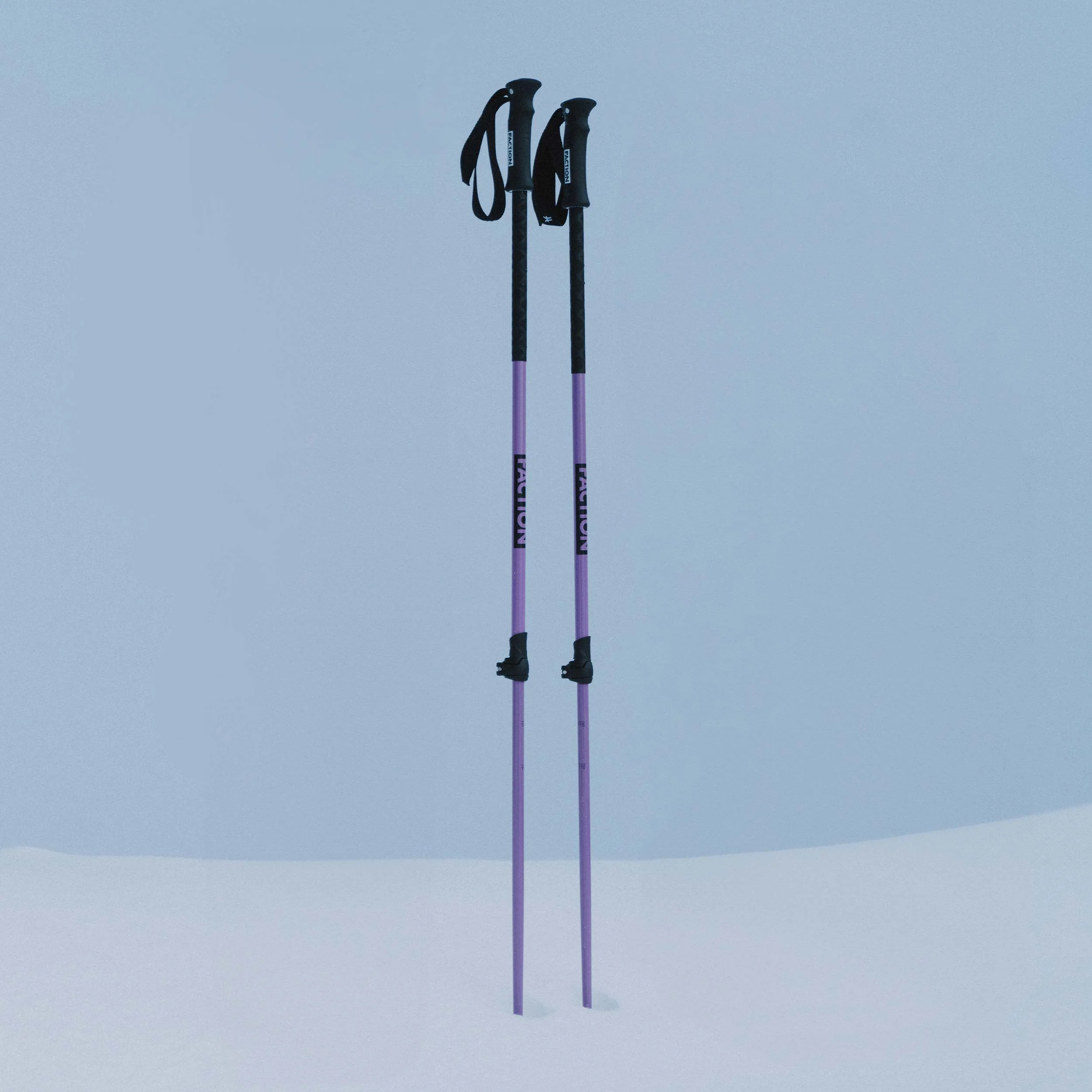 Agent Pole - Image 5