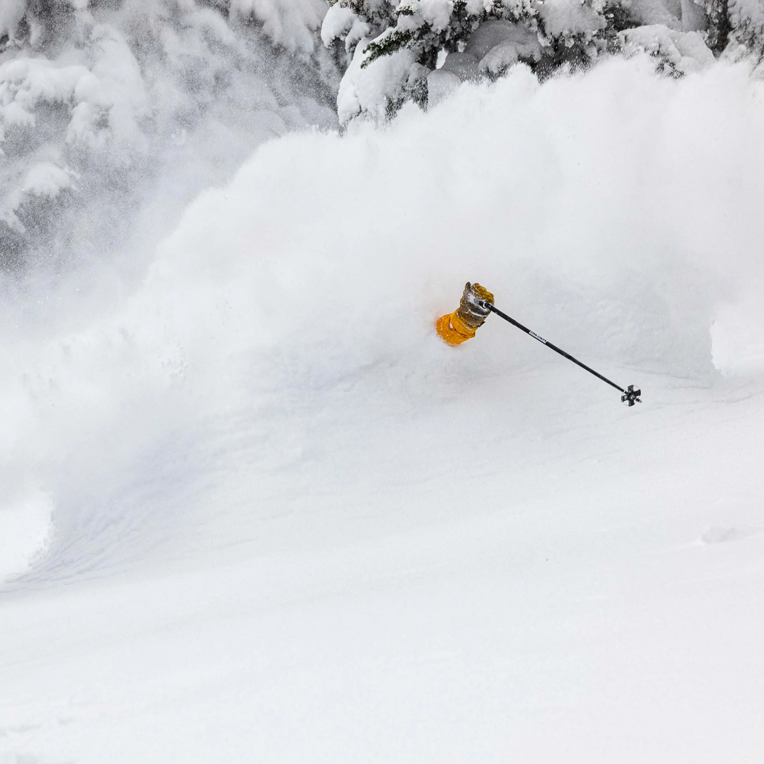 Faction Pole - Image 5